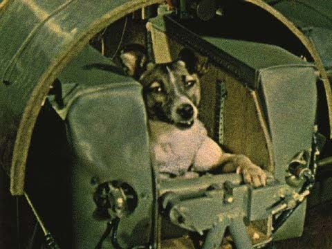 Laika: The first animal in space